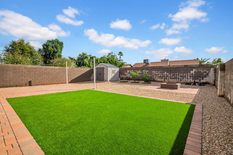backyard(2)